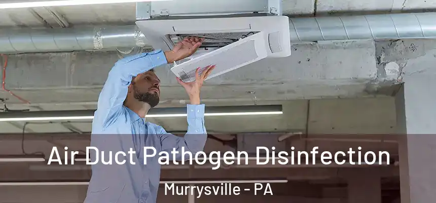 Air Duct Pathogen Disinfection Murrysville - PA