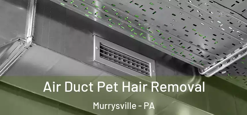 Air Duct Pet Hair Removal Murrysville - PA
