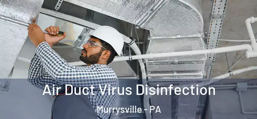 Air Duct Virus Disinfection Murrysville - PA