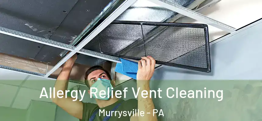 Allergy Relief Vent Cleaning Murrysville - PA