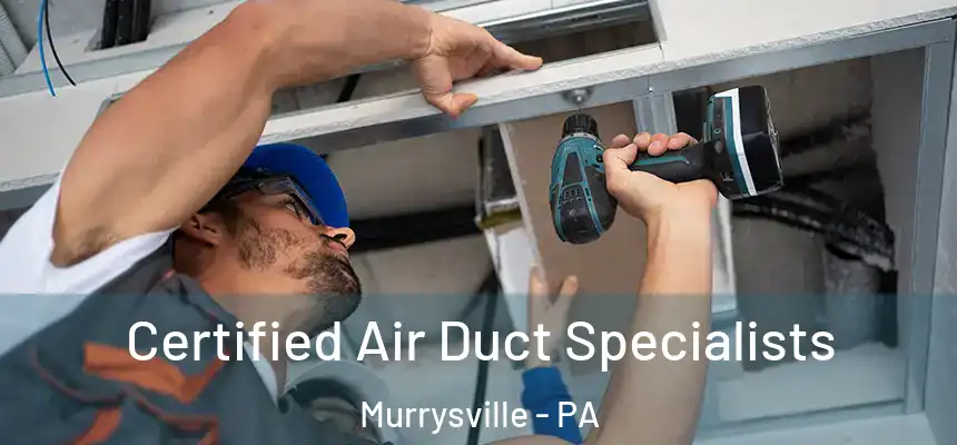 Certified Air Duct Specialists Murrysville - PA