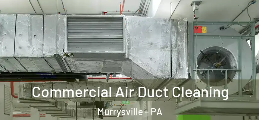 Commercial Air Duct Cleaning Murrysville - PA