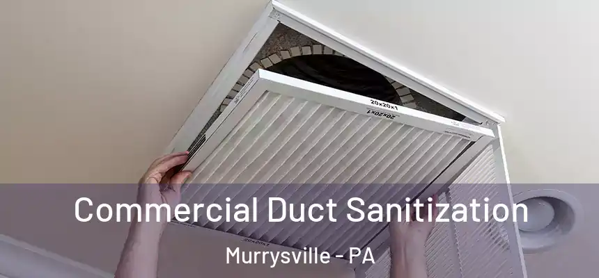 Commercial Duct Sanitization Murrysville - PA