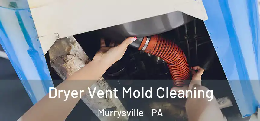 Dryer Vent Mold Cleaning Murrysville - PA