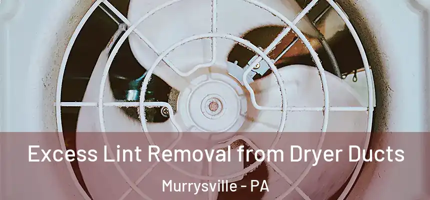 Excess Lint Removal from Dryer Ducts Murrysville - PA