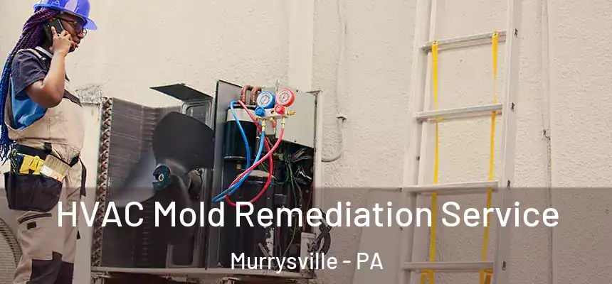 HVAC Mold Remediation Service Murrysville - PA