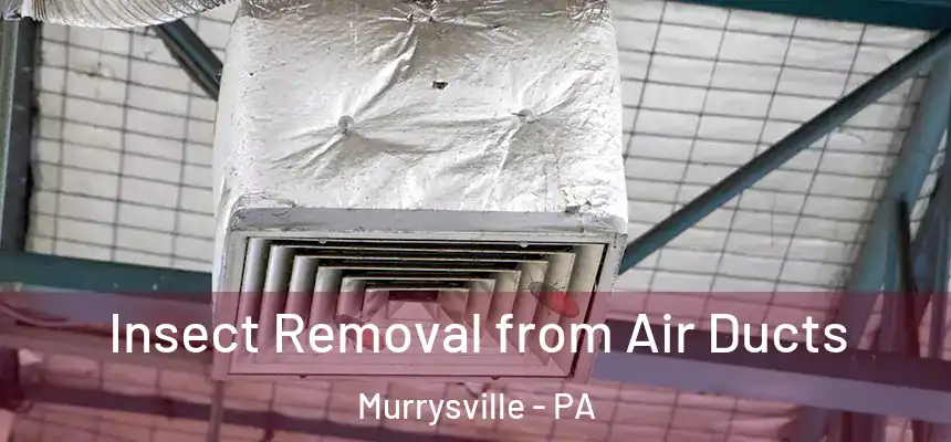 Insect Removal from Air Ducts Murrysville - PA