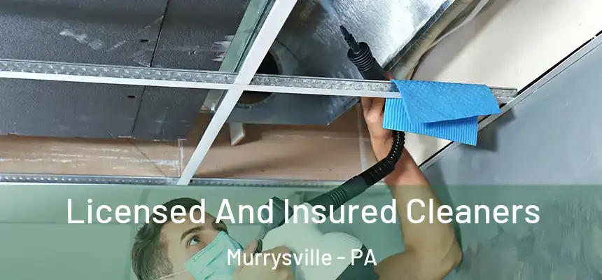 Licensed And Insured Cleaners Murrysville - PA
