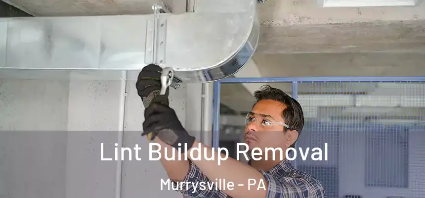 Lint Buildup Removal Murrysville - PA