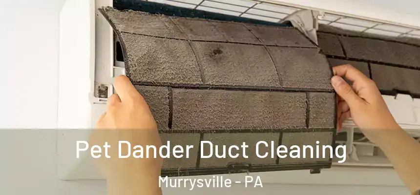 Pet Dander Duct Cleaning Murrysville - PA