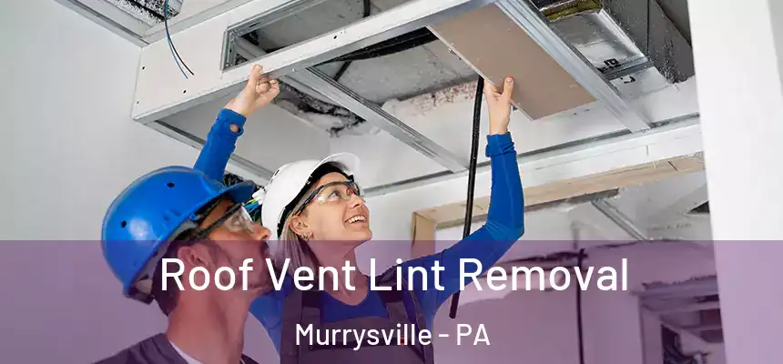 Roof Vent Lint Removal Murrysville - PA