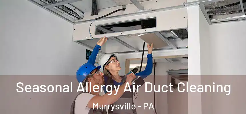 Seasonal Allergy Air Duct Cleaning Murrysville - PA