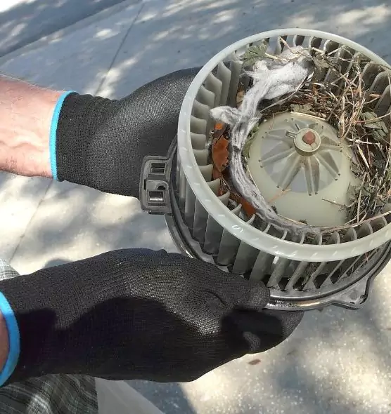 About Air Duct Mice Removal in Murrysville, PA