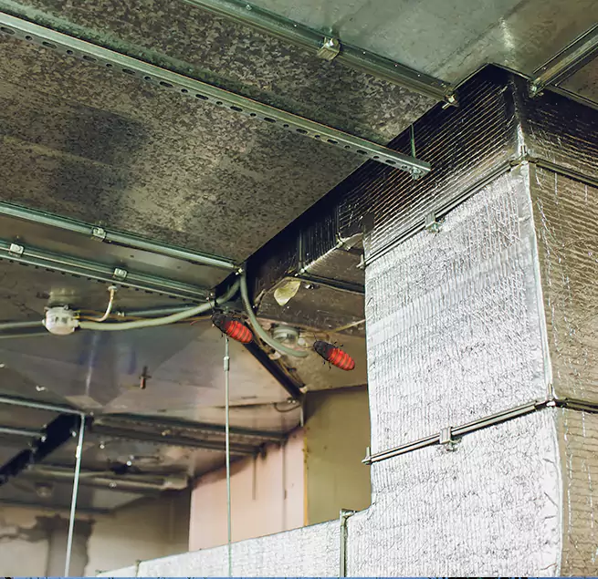 Why Homeowners & Businesses Trust Us in Murrysville, PA?