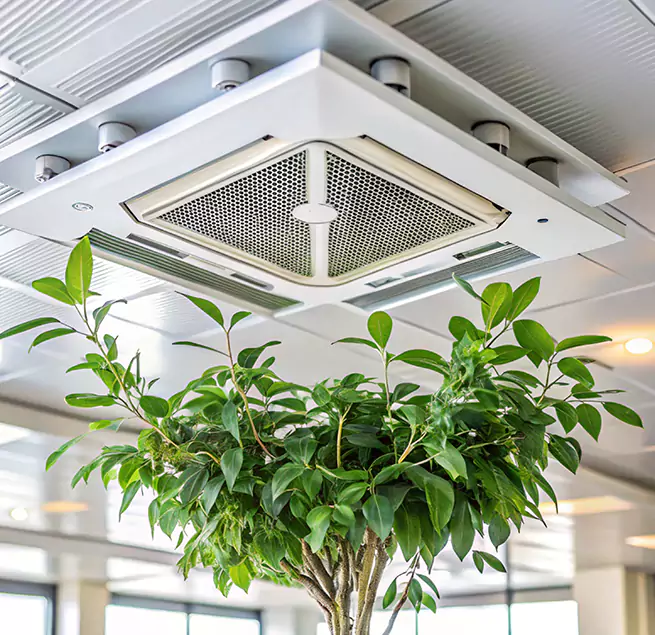 Why Homeowners & Businesses Trust Us in Murrysville, PA?